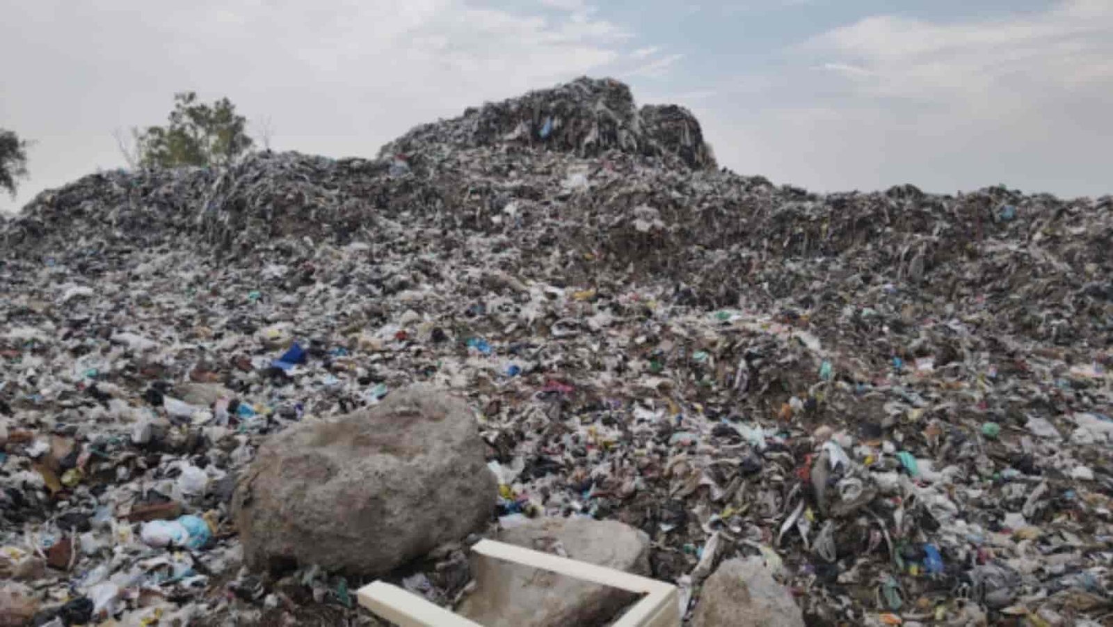 Haryana News Tender allotted for waste disposal in Jind.