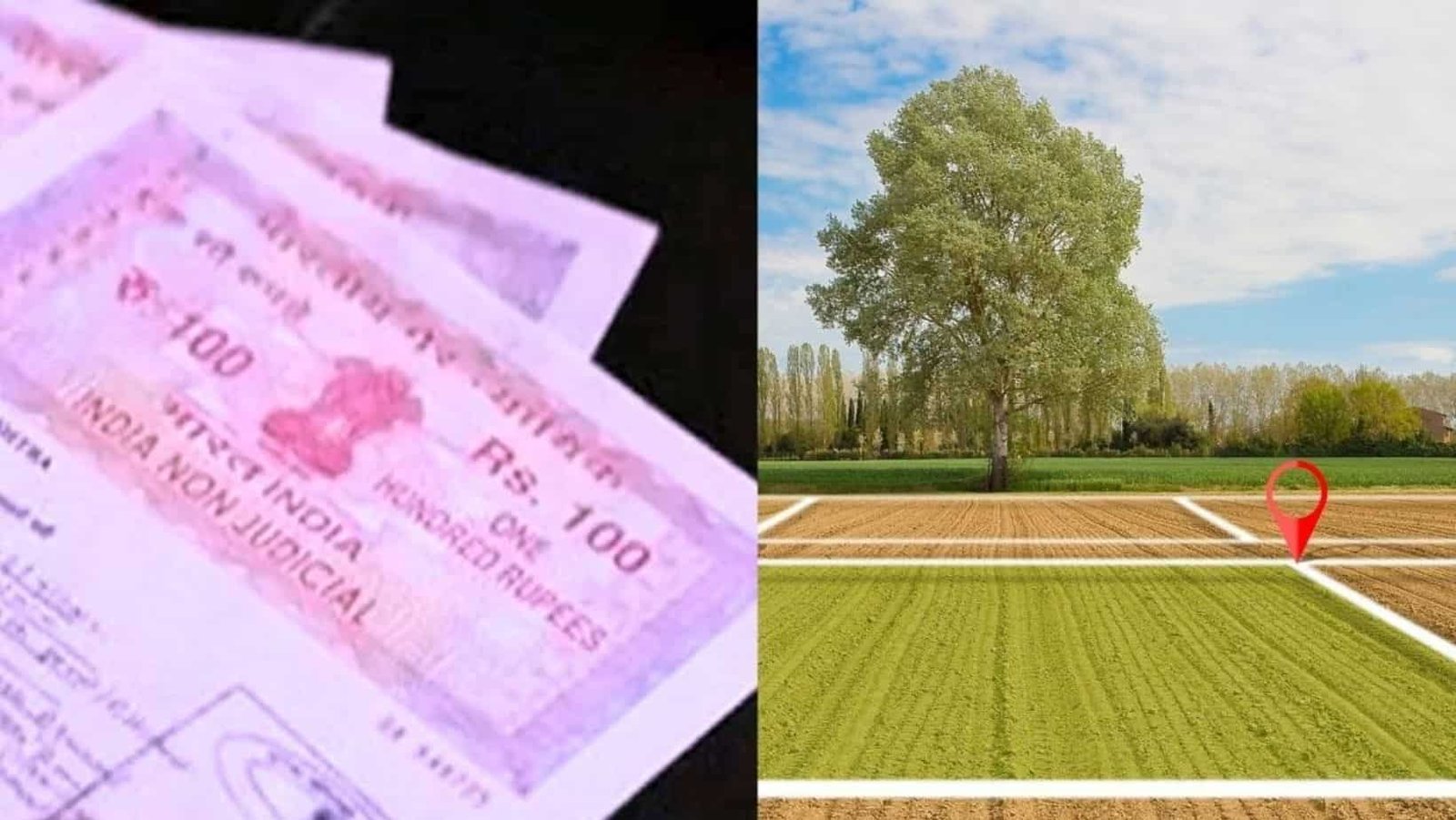 Haryana News mutation after property registration land records will auto-update