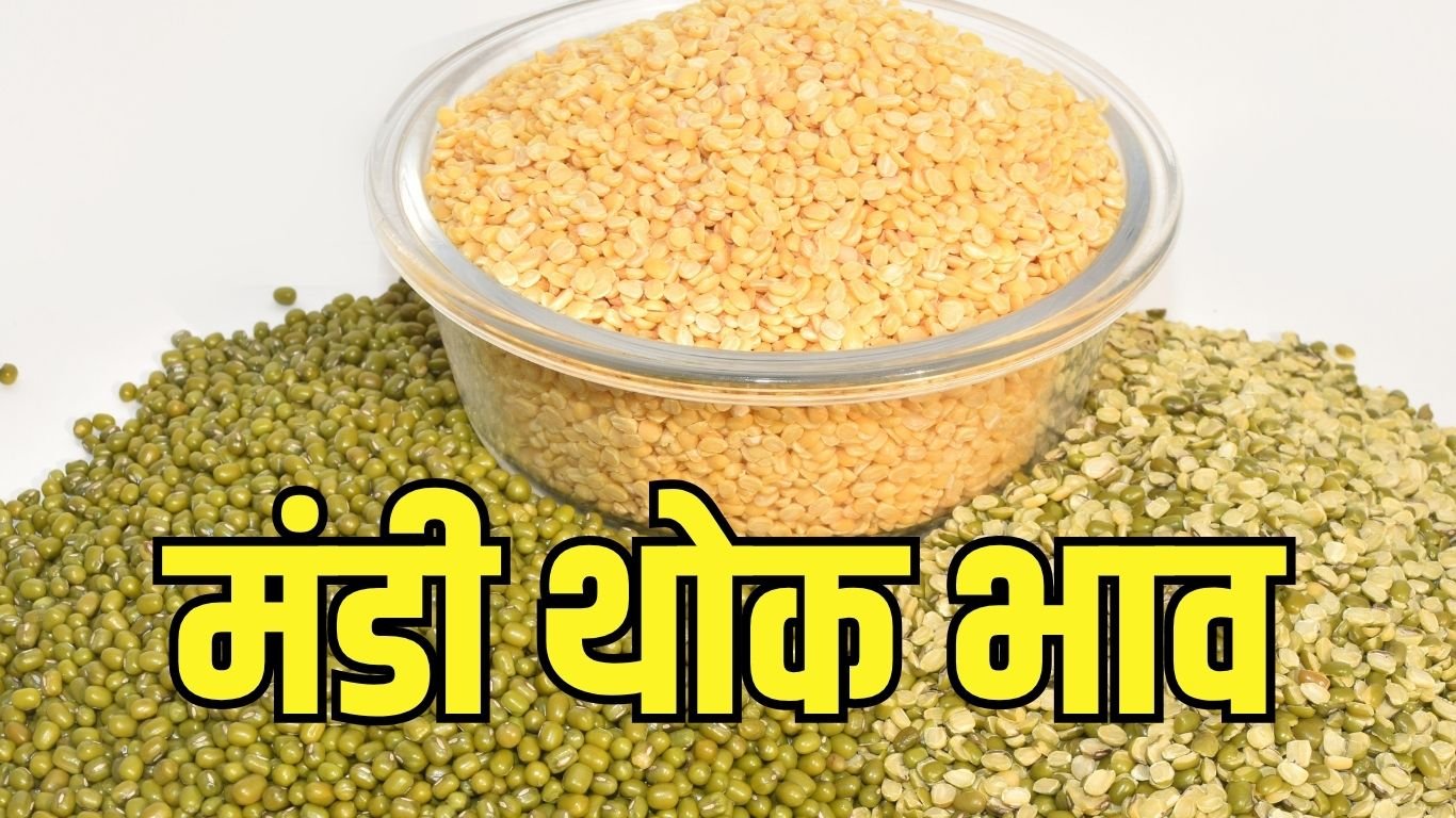 Mandi Taja Bhav तुवर-मूंग दाल में गिरावट, उड़द में तेजी