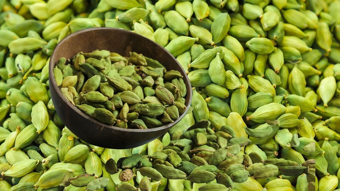 Spice Market Prices मानसूनी बारिश से हरी इलायची के भाव में आया उछाल