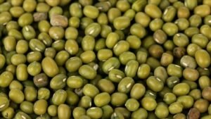 Wholesale prices markets मूंग व उड़द के भाव में आया उछाल