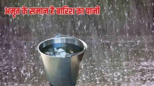 Rain Water Benefits : अमृत के समान है बारिश का पानी, बेहद चौकाने वाले मिलते हैं परिणाम, आयुर्वेद में भी मिलता है प्रमाण