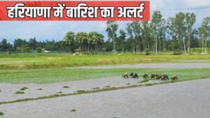 Haryana Weather Update: भीषण उमस भरी गर्मी से राहत की उम्मीद