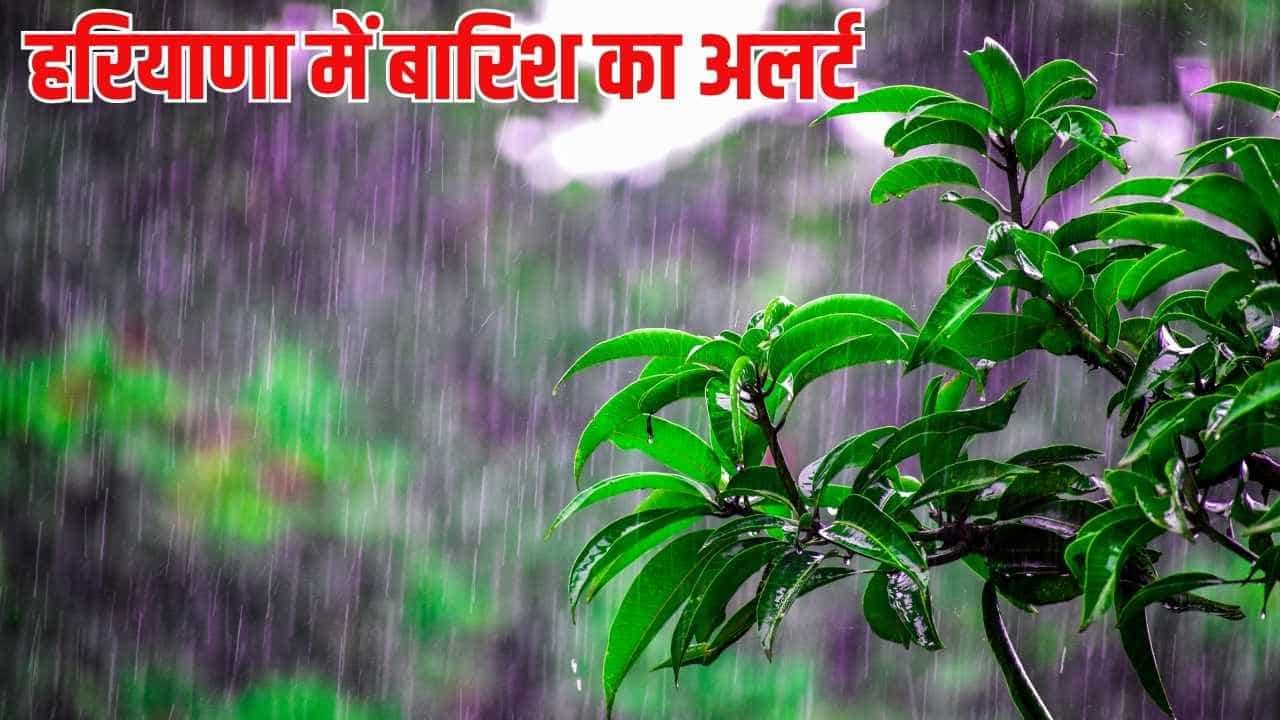 Haryana Weather Update: भीषण उमस भरी गर्मी से राहत की उम्मीद