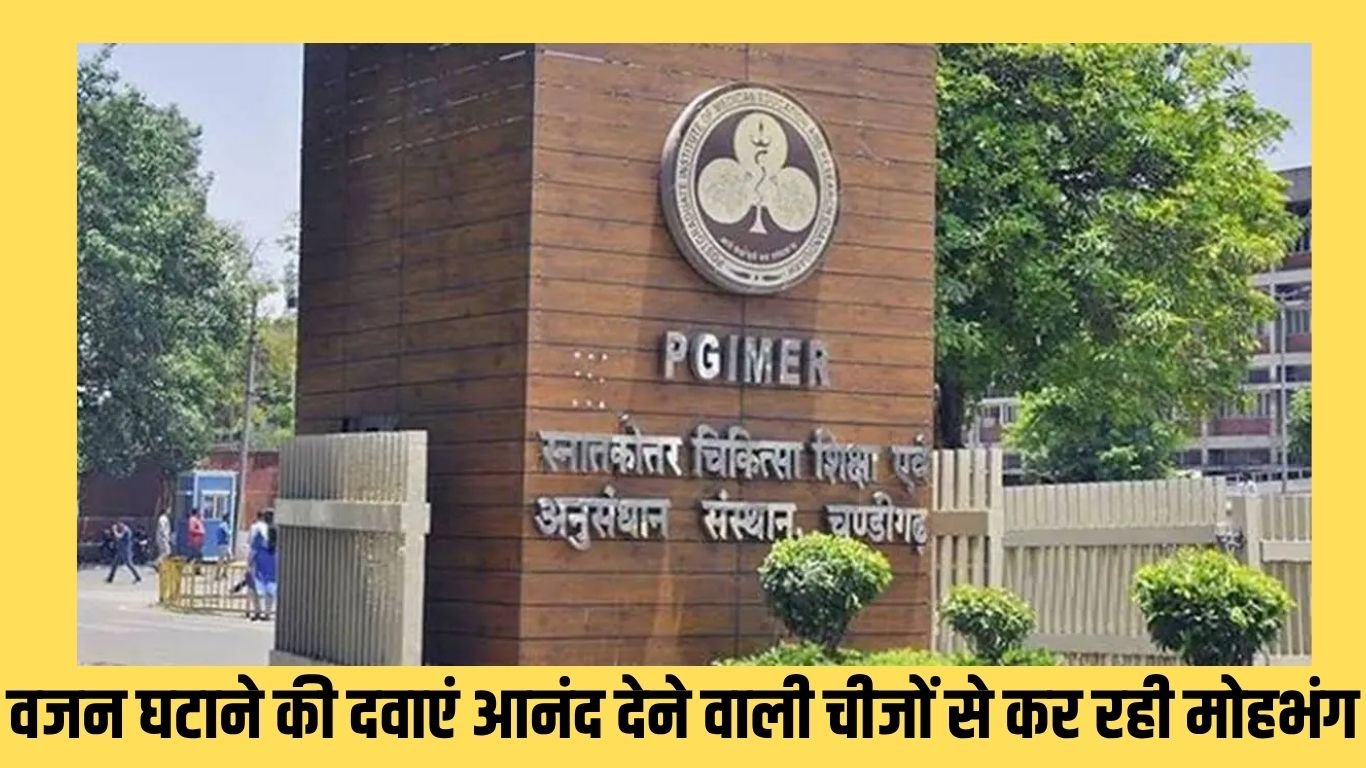 Pharmaceutical Research PGI Chandigarh