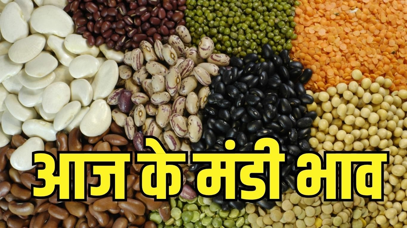 mandi bhav today