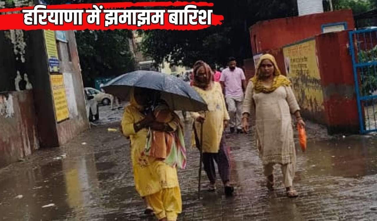 Haryana Monsoon Update : हरियाणा में मानसून सक्रीय, पूरे प्रदेश में झमाझम बारिश